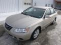 Camel Pearl - Sonata GLS Photo No. 2