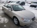 Camel Pearl - Sonata GLS Photo No. 4