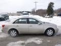 Camel Pearl - Sonata GLS Photo No. 5