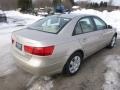 Camel Pearl - Sonata GLS Photo No. 6