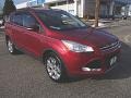 2013 Ruby Red Metallic Ford Escape SEL 2.0L EcoBoost  photo #3