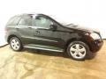 Black - ML 350 4Matic Photo No. 18