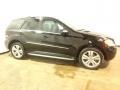 Black - ML 350 4Matic Photo No. 17