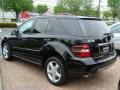 Black - ML 350 4Matic Photo No. 6