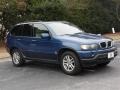 2002 Topaz Blue Metallic BMW X5 3.0i  photo #8