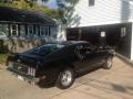 Dark Ivy Green Metallic - Mustang Mach 1 Photo No. 2