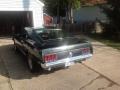 Dark Ivy Green Metallic - Mustang Mach 1 Photo No. 4
