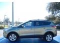 2013 Ginger Ale Metallic Ford Escape SE 2.0L EcoBoost  photo #2