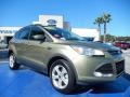 2013 Ginger Ale Metallic Ford Escape SE 2.0L EcoBoost  photo #7