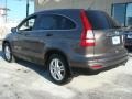 2010 Urban Titanium Metallic Honda CR-V EX AWD  photo #3