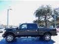 Tuxedo Black Metallic - F250 Super Duty Platinum Crew Cab 4x4 Photo No. 2