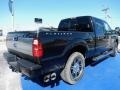 Tuxedo Black Metallic - F250 Super Duty Platinum Crew Cab 4x4 Photo No. 3