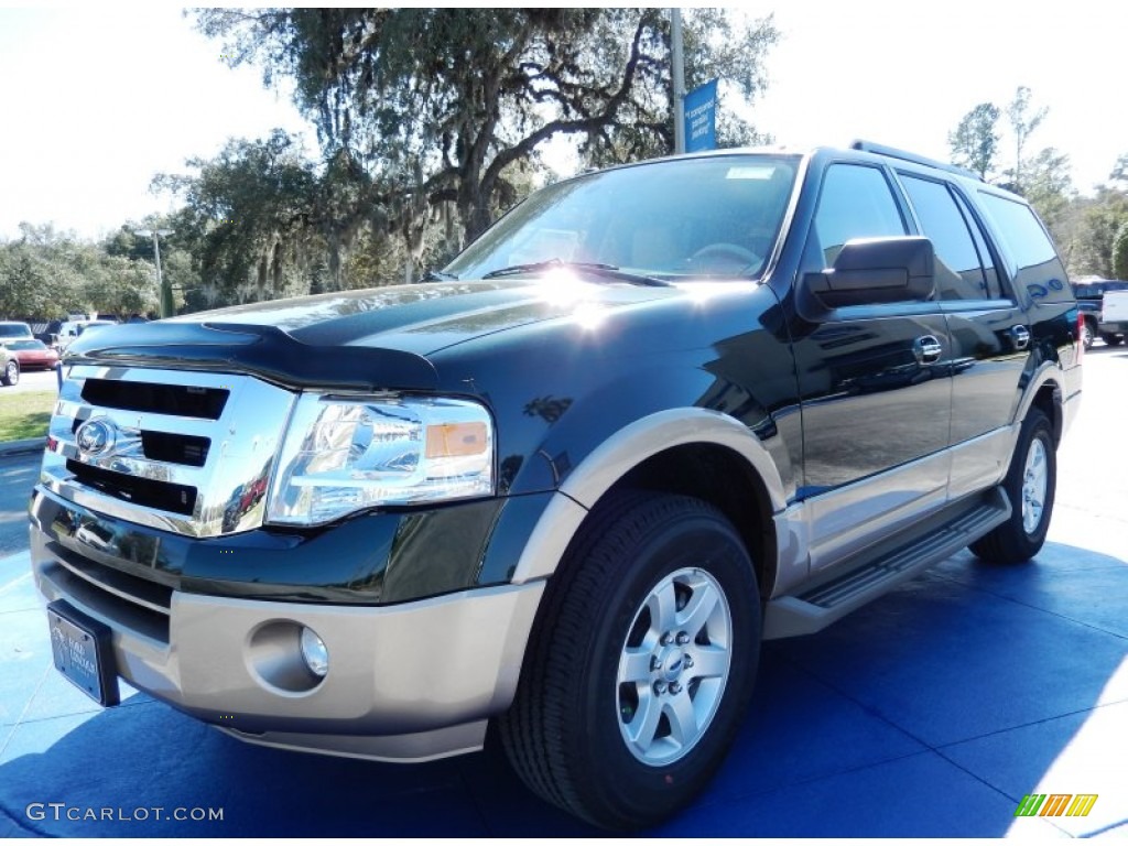 Green Gem Ford Expedition