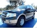 2014 Green Gem Ford Expedition XLT #90494067