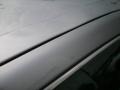 Sterling Mist Metallic - Maxima SE Photo No. 14