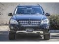 Black - ML 350 4Matic Photo No. 2