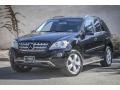 Black - ML 350 4Matic Photo No. 12