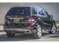 Black - ML 350 4Matic Photo No. 13