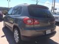 Alpine Gray Metallic - Tiguan SE Photo No. 3