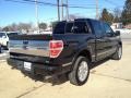 Tuxedo Black - F150 Platinum SuperCrew 4x4 Photo No. 24