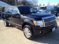 Tuxedo Black - F150 Platinum SuperCrew 4x4 Photo No. 28