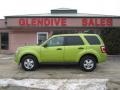 2012 Lime Squeeze Metallic Ford Escape XLS 4WD  photo #14