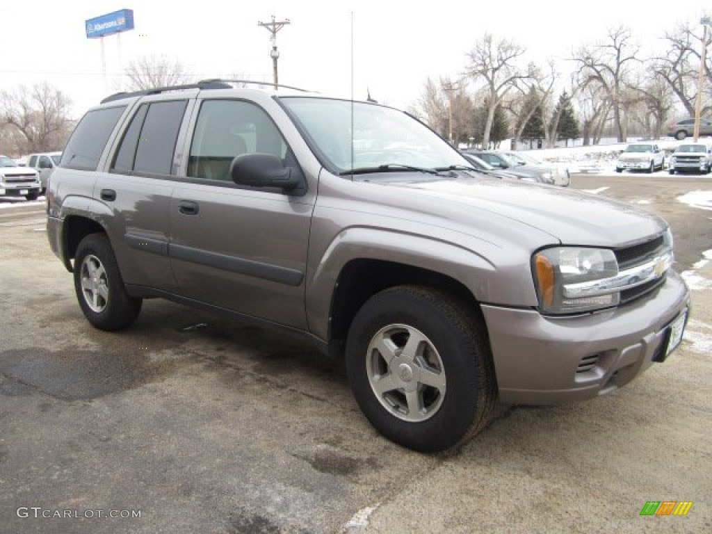 Graystone Metallic 2005 Chevrolet TrailBlazer LS 4x4 Exterior Photo #90516804