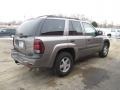 Graystone Metallic - TrailBlazer LS 4x4 Photo No. 3