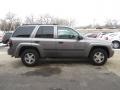 Graystone Metallic - TrailBlazer LS 4x4 Photo No. 15