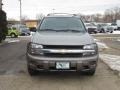 Graystone Metallic - TrailBlazer LS 4x4 Photo No. 16