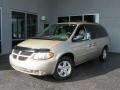 Linen Gold Metallic - Grand Caravan SXT Photo No. 3