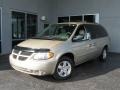 2006 Linen Gold Metallic Dodge Grand Caravan SXT  photo #3