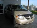 2006 Linen Gold Metallic Dodge Grand Caravan SXT  photo #5