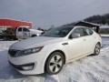 Snow White Pearl - Optima Hybrid Photo No. 1