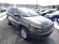 2014 ECO Green Pearl Jeep Cherokee Latitude 4x4  photo #4