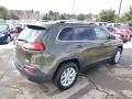 2014 ECO Green Pearl Jeep Cherokee Latitude 4x4  photo #6