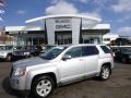 Quicksilver Metallic 2010 GMC Terrain SLE