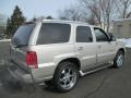 Quicksilver - Escalade AWD Photo No. 8