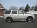 Quicksilver - Escalade AWD Photo No. 9