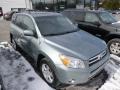 Everglade Metallic 2008 Toyota RAV4 Limited V6 4WD