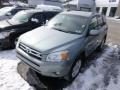 Everglade Metallic - RAV4 Limited V6 4WD Photo No. 3