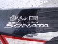 Pacific Blue Pearl - Sonata GLS Photo No. 18