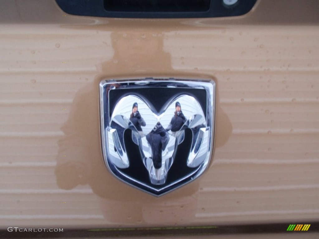 2012 Ram 1500 ST Quad Cab 4x4 - Saddle Brown Pearl / Dark Slate Gray/Medium Graystone photo #22