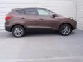 Kona Bronze - Tucson SE Photo No. 3