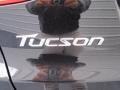 2014 Ash Black Hyundai Tucson SE  photo #14