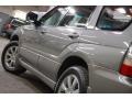 Steel Gray Metallic - Forester 2.5 X Premium Photo No. 12
