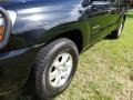 2006 Black Sand Pearl Toyota Tacoma Access Cab  photo #28