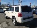 2010 White Suede Ford Escape XLT 4WD  photo #5