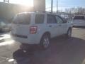 2010 White Suede Ford Escape XLT 4WD  photo #7