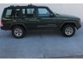 2001 Forest Green Pearlcoat Jeep Cherokee Sport 4x4  photo #5